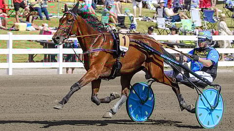 Laukkaherkän Zara Avengerin kärryille hyppää tällä kertaa valmentaja Juha Utalan sijaan Ari Moilanen.