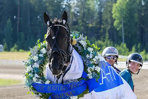 Run For Royalty puolustaa Suur-Hollola-ajossa viimevuotista voittoa.