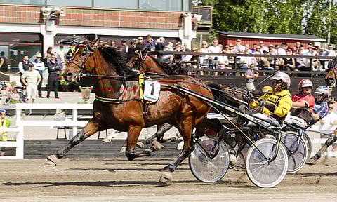 Ravihevonen Radetzky rattaillaan Antti Teivainen