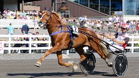 H.V. Tuuri joutui jättämään lauantain kisan väliin, mutta palaa tämänhetkisen tiedon mukaan pian radoille.