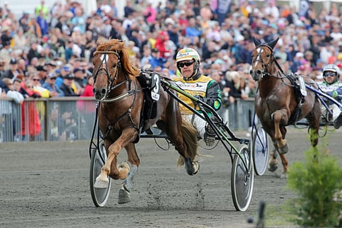 Topin Muisto viiletti viime kesänä Forssan kuninkuusraveissa Pikkuprinssiksi.