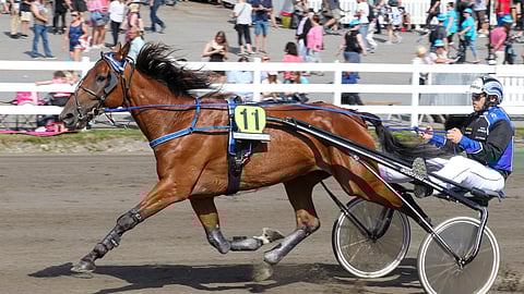 Johnny Flamella on edessä eläkepäivät.