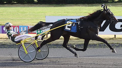 Yannick Gingras nautti Celebrity Bambinon voittovauhdista New Jersey Sire Stakes-divisioonassa perjantaina. Kuva: