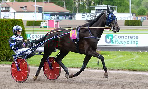 Admiral As on kultadivisioonan suosikki. 75-jackpotia on peräti 2,2 miljoonaa euroa.