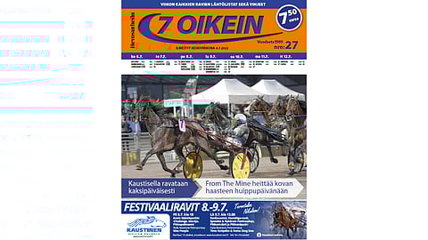 Tuhti 92 sivua totopelitietoutta