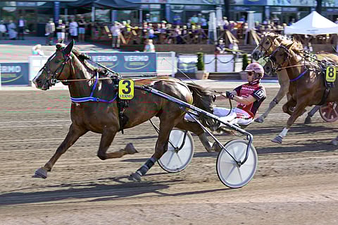 Steffe johti viime starttiaan Vermossa lähdöstä maaliin.