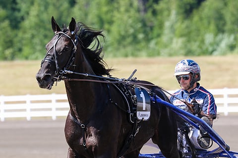 Janne Korpi ajaa Run For Royaltya Vermossakin