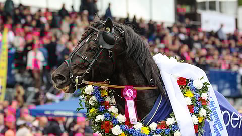 Elitkampen-voittaja Odd Herakles.