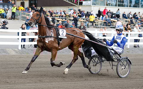 Esprit Sisu ja Daniel Wäjersten olivat Seinäjoella viime vuonna.