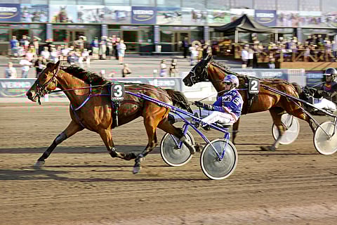 Heavy Secret (3) yllätti viime kilpailussaan pelaajat sekä myös valmentajansa.