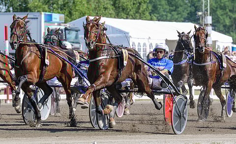 Majestic Man sijoittui viime kesänä Suur-Hollola-ajossa kolmanneksi.