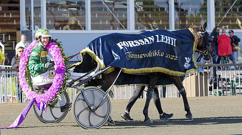 Her Royal Highness ja Jukka Torvinen kilpailevat Tammojen EM:ssä.