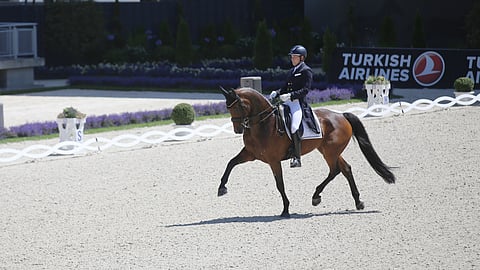 Henri Ruoste ja Kontestro.