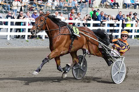 Exclusive Matter häikäisi St Michel -raveissa Tommi Kylliäisen ajamana.