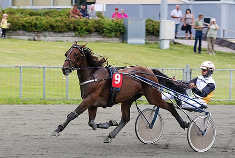 Bribes lähtee hakemaan Toto75-voittoa sisäradalta.