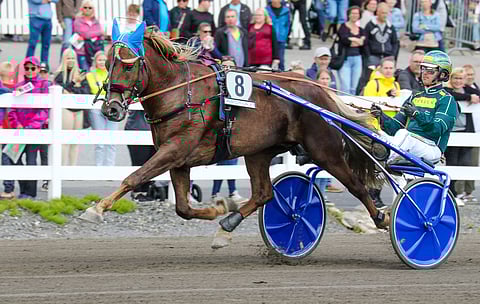 Parvelan Retu lähti Mikkelissä radalta 8, mutta Forssan Kuninkuusravien avausmatkalle hevonen lähtee radalta 7.