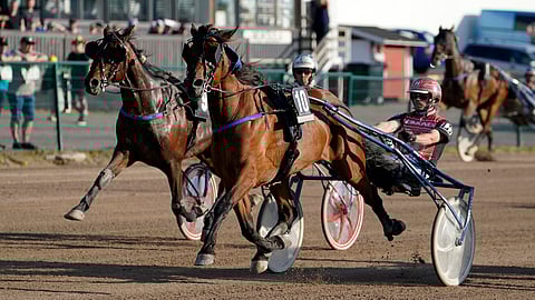 Cheap Thrills on voittanut tällä kaudella neljästi.