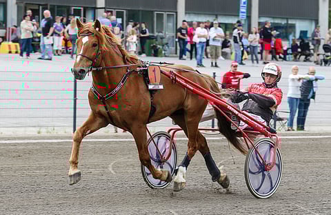 Vixeli ja Tapio Perttunen.