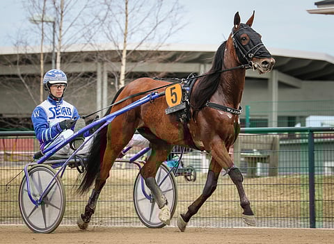 Daniel Wäjersten ja Esprit Sisu sijoittuivat toiseksi kevään Seinäjoki Racessa.