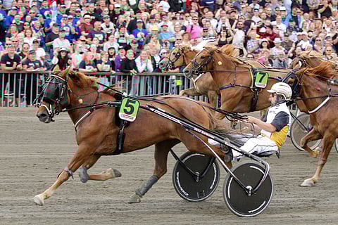 Hetviina voitti jo kolmantena vuonna peräkkäin kuningatarkilvan avausmatkan.