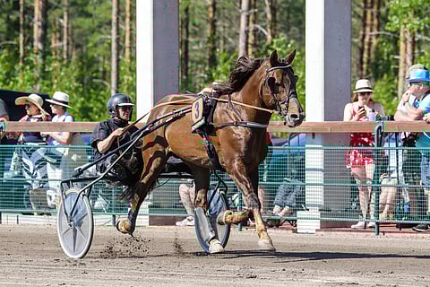 Veeran Poika ja Jussi Suominen.