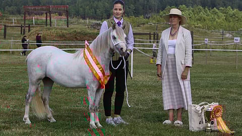 Rotunsa mallikelpoinen edustaja Moondelight Risebud Kaisa Kinnarin ja rodun tuomaroineen Anna Pajasen kanssa Savijärven kartanon kentällä.