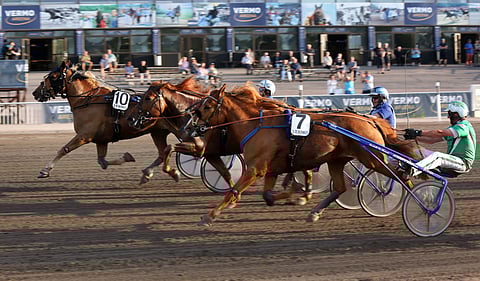 Tuliopaali (10) rynnisti ryhdikkäästi karsintavoittajaksi.