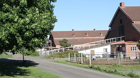 Hevosopiston riita-asia entisen toimitusjohtaja-rehtorinsa Pauliina Mansikkamäen kanssa siirtyi ensi viikolta toukokuulle.