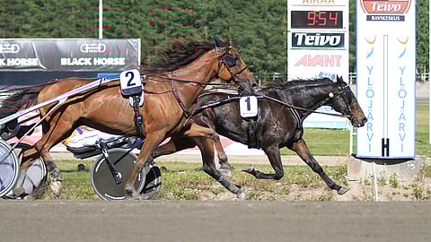 Amazing Warrior (1) piti Lake's Actionin (2) kurissa.