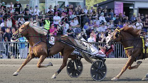 Säihkeen Sähinä vaihtoi Forssan kuninkuusravien voittojuoksun jälkeen valmentajaa.