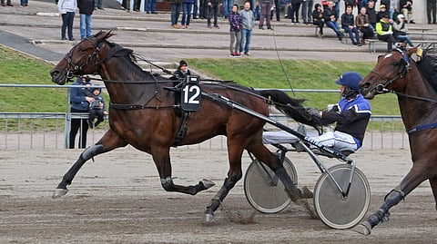 Ville Tonttila pohtii The Duden illan mahdollisuuksia.