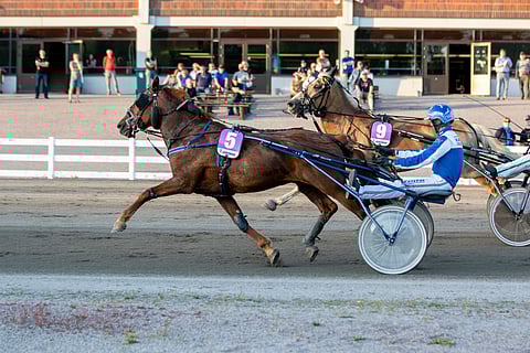 Ekosan voitti hallitusti ajalla 25,4ake.