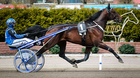 Nette's Ensio on kilpaillut kolmen kierroksen matkalla kahdesti aikaisemmin. Toisen niistä se on voittanut.
