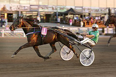 Blackbeard otti ansaitusti uransa avausvoiton ajalla 14,6ake. Ari Moilanen on sekä Vermon että valtakunnallisen ajajaliigan kakkossijalla Santtu Raitalan jälkeen.