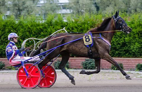 Olli Koivunen oli tuttu näky Stonecapes Ulrican rattailla.