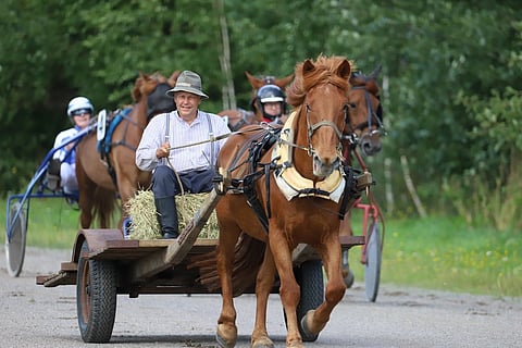 Hevoshulinoissa oli yli 300 henkilön yleisö.