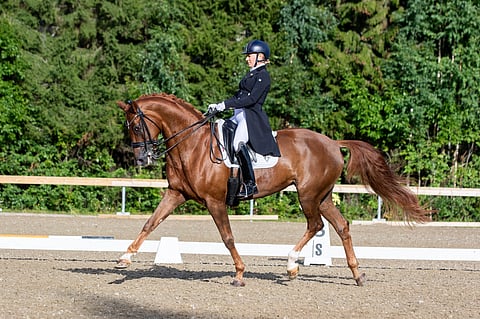 MSJ Kom Fairy Tale voitti, vaikka sen ajatukset olivat välillä muualla kuin kouluratsastuksessa.