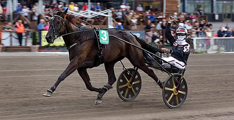 Dusktodawn Boogie vankisti asemaansa Derbyn suosikkina.