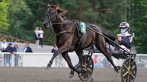 Dusktodawn Boogiella ovat toistaiseksi ajaneet kilpaa vain Kenneth Danielsen ja Jean-Michel Bazire.