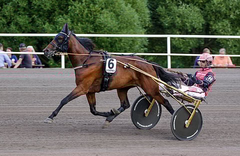 Sahara Flames voitti Derby-karsinnan komeasti keulasta, mutta finaali pilaantui lähtölaukkaan.