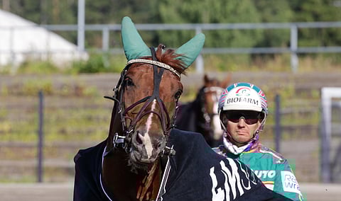 Lahjakas Pro on selväpiirteisen kierroksen ensimmäinen varma.