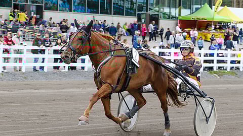 Aamulento lähtee Villinmiehen Tammakilvan finaaliin karsintavoittajana radalta 1.