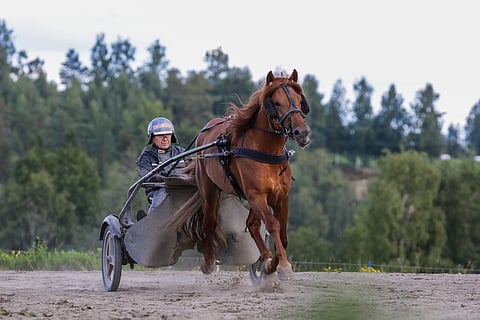 Pieni hetki joudutaan vielä odottamaan V.G. Voiton kauden avausta.