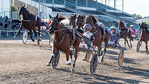 Lara Boko voittaa Derbystoetin.