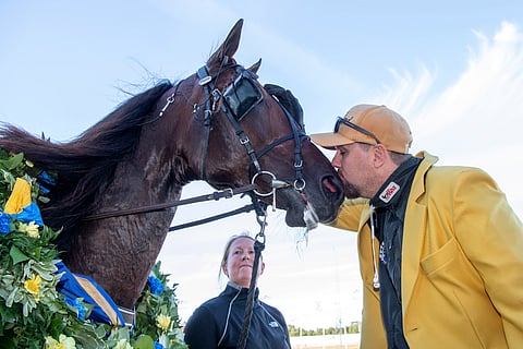 Daniel Redén vakuutti, ettei Francesco Zetin kilpailu-ura ole katkolla siitokseenkäytön takia. Kuva: