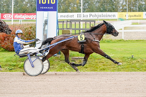 Chasing Highsin kanssa tähdätään nyt 5-vuotiaiden tammojen Kasvattajakruunuun.
