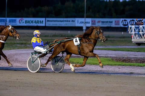 Kari Venäläisen mukaan ei helpommin voi voittaa kuin suomenhevosori Kiitävä Jokimaalla 22.9.2022.