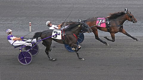 Joviality S voitti Delvin Miller Memorialin ennen Veneratea Meadowlandsissa heinäkuun puolivälissä. Kuva: HU arkisto