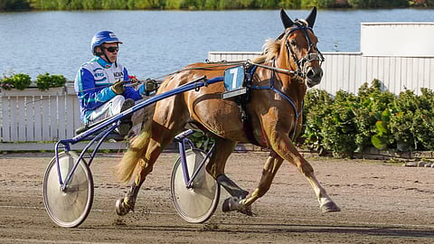 Petteri Salosen Senikki saa tähän starttiin kuskikseen Santtu Raitalan.
