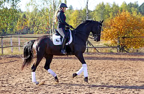 Saga Tervonen sai Fabulouz Firfodista juuri sitä mitä hän etsikin.